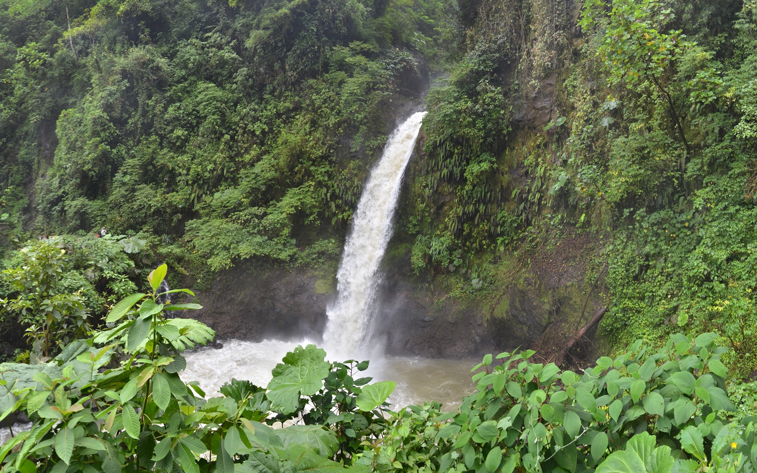 Proveo sam 48 sati u džungli Kosta Rike i izašao kao drugi čovek